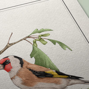 goldfinch-print-detail