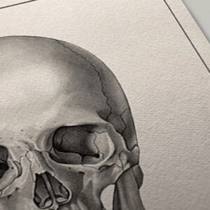 skull-and-moth-print-detail