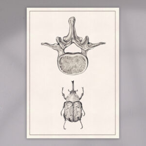 vertebra-and-beetle-print